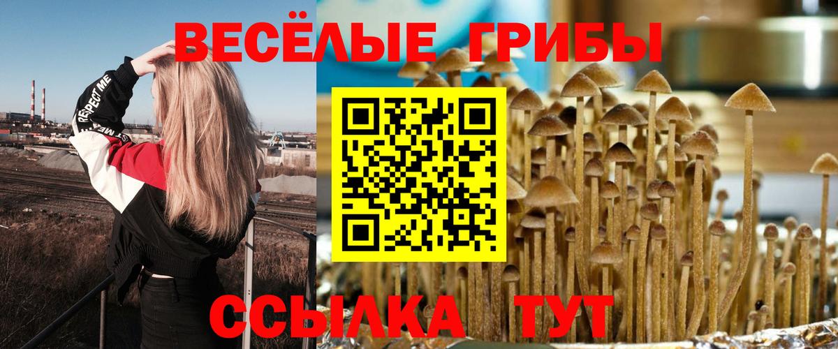 Сланцы  Псилоцибиновые грибы мухоморы  Вход с VPN 